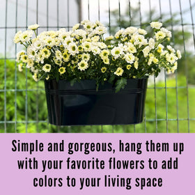 LáLáGreen black metal planter box mounted on a railing
