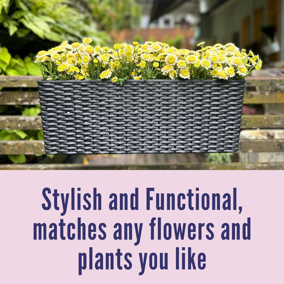 LáLáGreen 2-pack set provides matched planters for multiple spots.