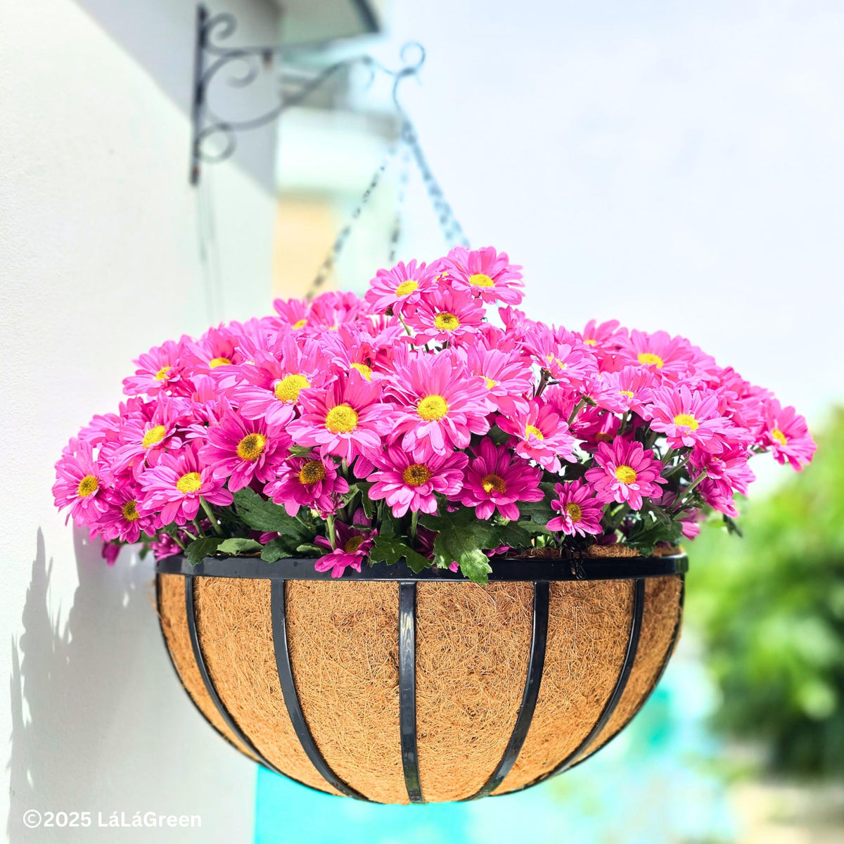 LáLáGreen balcony-garden-hanging-planter enhances compact outdoor spaces.