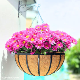 LáLáGreen balcony-garden-hanging-planter enhances compact outdoor spaces.