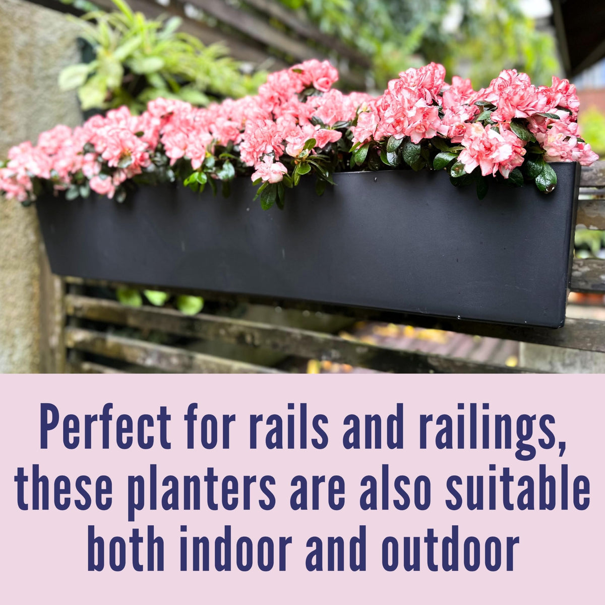LaLaGreen rail planter in black finish complements outdoor décor on a railing
