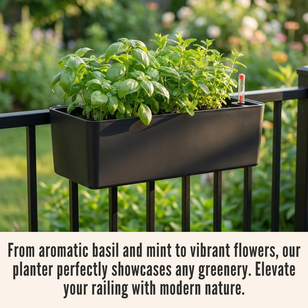LáLáGreen modern black rail planter complements contemporary outdoor decor.