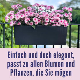LaLaGreen bracket system mounted on rails provides stable outdoor placement.