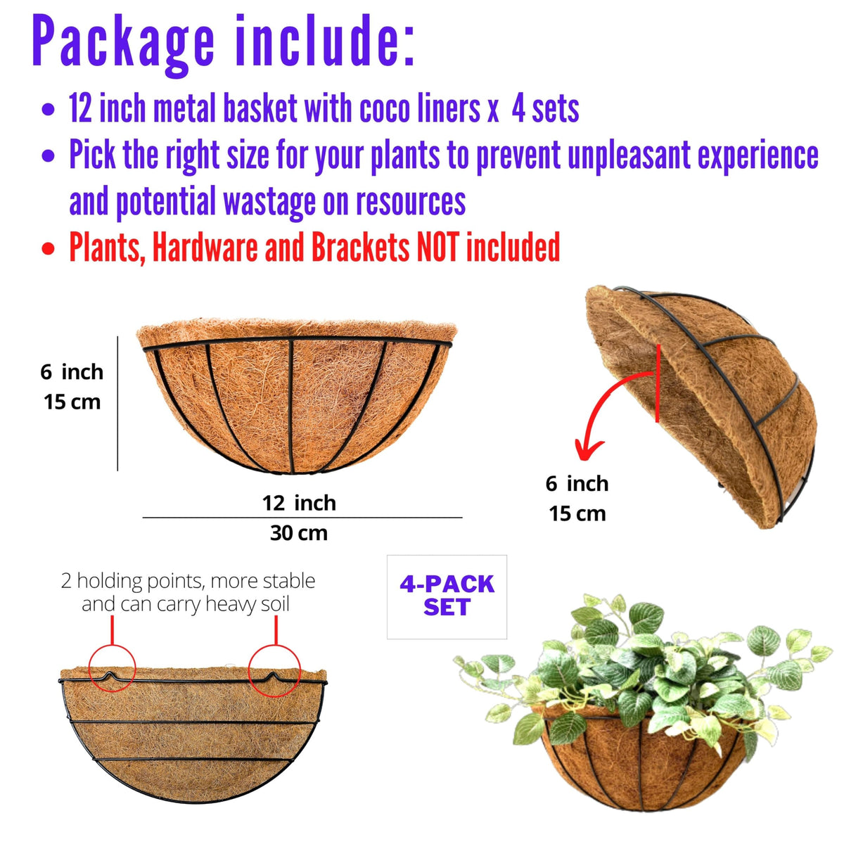 LáLáGreen coco liner wall planter highlighting breathable root space.
