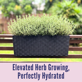 LáLáGreen versatile planter for balcony rails, porches, or indoor windowsills.