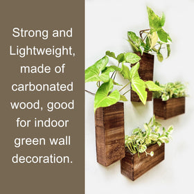 Display dried flowers with LáLáGreen wall planter for ambience