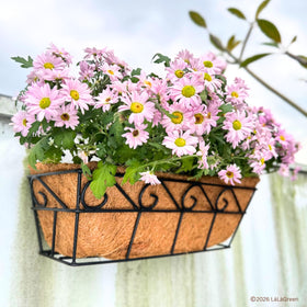 LáLáGreen flowers and herbs thrive with balanced moisture.