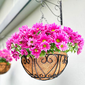 LáLáGreen 12in hanging basket set ready for lush plants