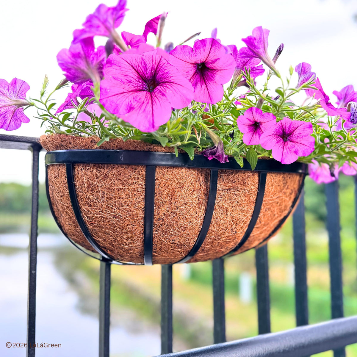 Herbs and flowers thriving in a LaLaGreen liner.