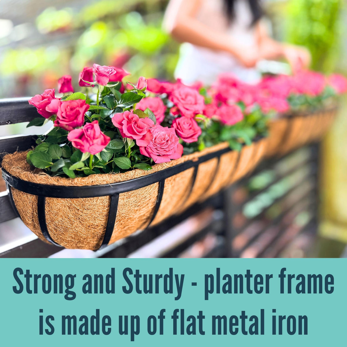 LaLaGreen versatile planter for outdoor and indoor use.