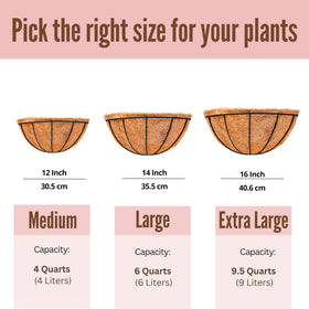 LaLaGreen large half-round basket supporting real or faux plants.