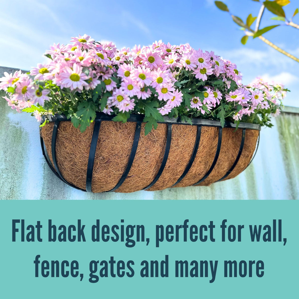 Decorative LáLáGreen planters create a cohesive courtyard arrangement.