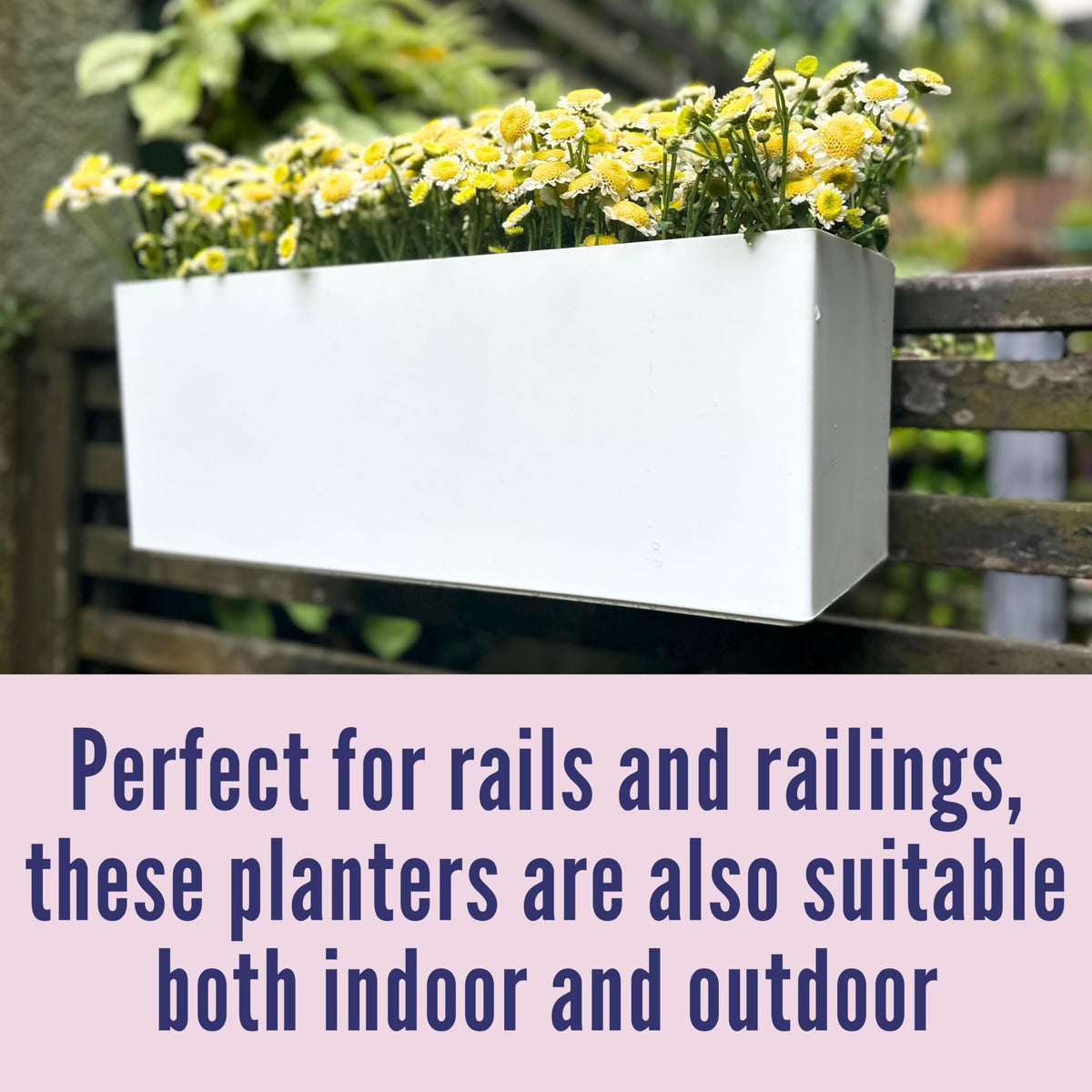LaLaGreen minimalist white planter adds rustic charm to patios.