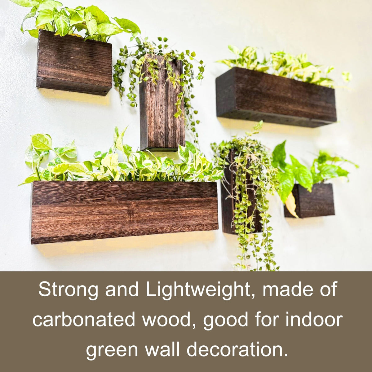LáLáGreen multipurpose wall planter doubles as small organizer