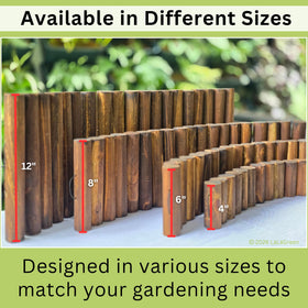 LáLáGreen outdoor border along a pathway enhancing yard decor