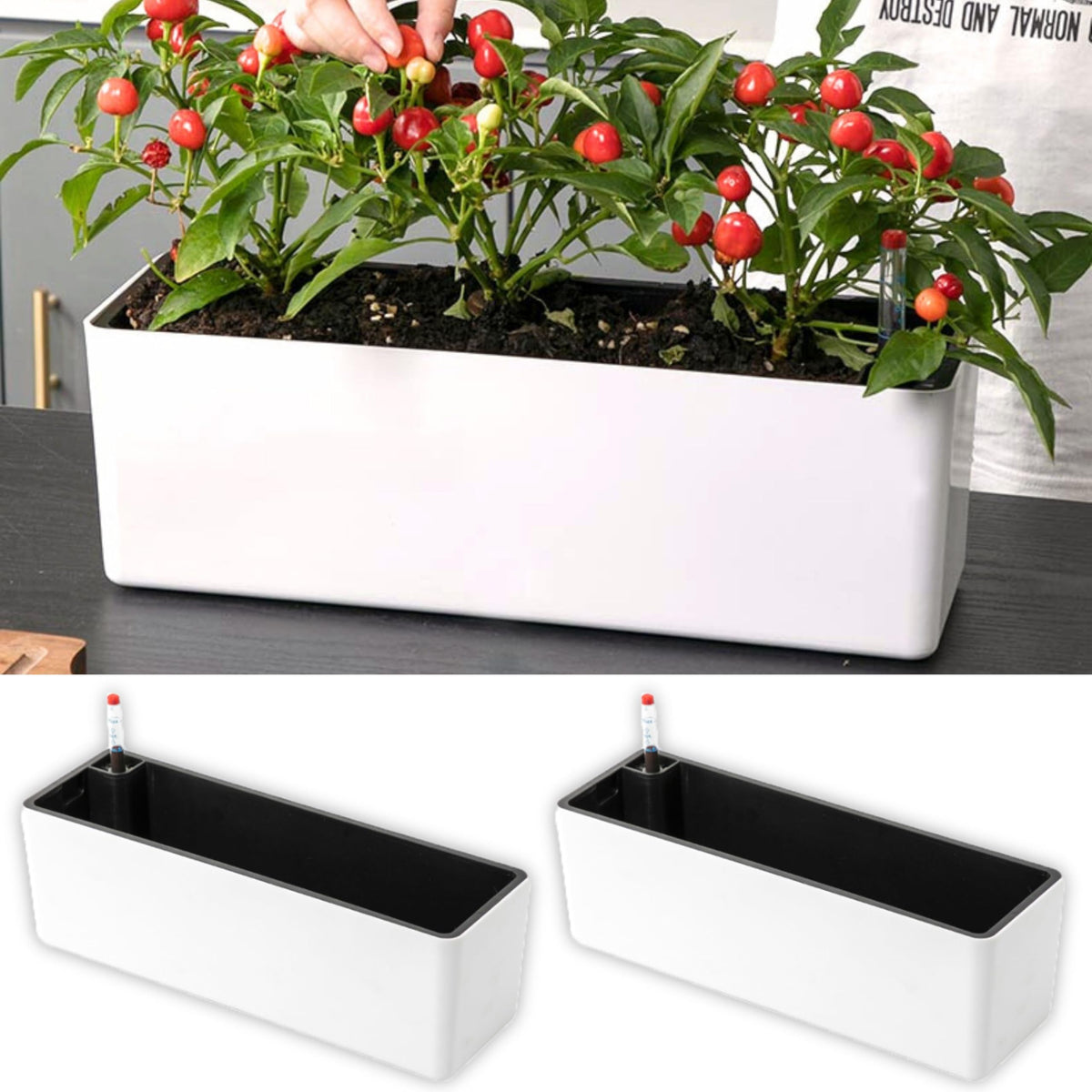 LaLaGreen 16-inch inner pot showing the self-watering design for indoor plants