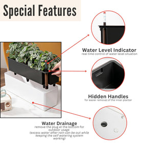 LaLaGreen windowsill display demonstrating versatile placement