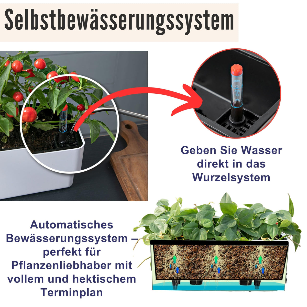 LáLáGreen planter box with drainage supports versatile placement indoors or outdoors