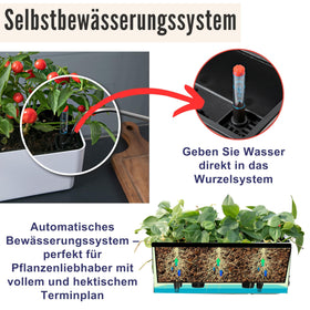 LáLáGreen planter box with drainage supports versatile placement indoors or outdoors