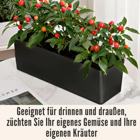 LáLáGreen planter box inner and outer pots with water level indicator