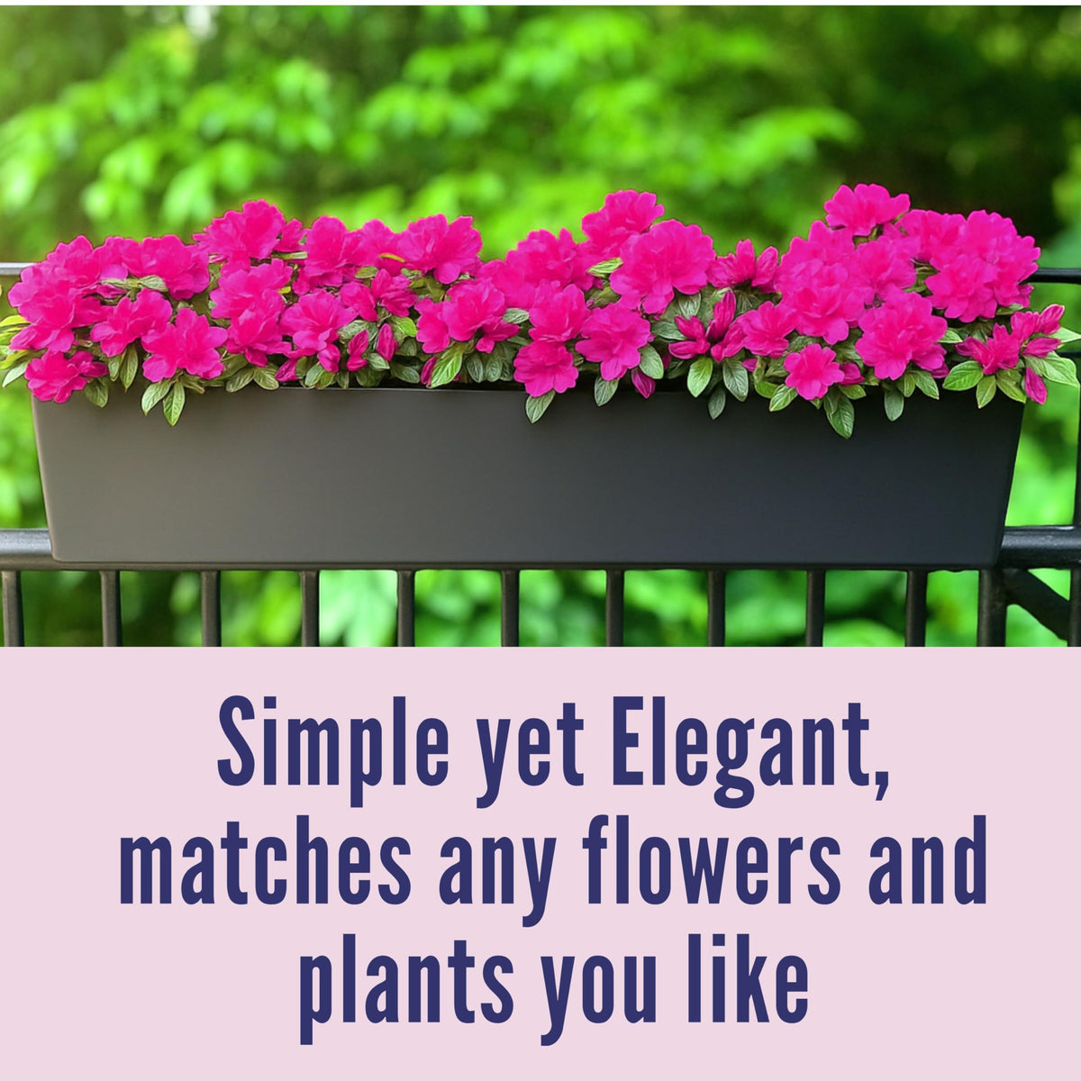 Grow herbs or strawberries on a balcony with LaLaGreen planters