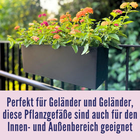 LaLaGreen strawberry and herb idea planter demonstrates versatile balcony growing.
