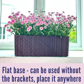 LaLaGreen two-pack enables flexible storage or decorative uses in small spaces