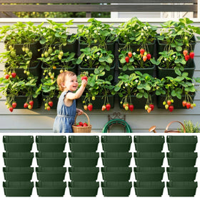 LáLáGreen 24-pack vertical garden planter for space-saving wall mounting