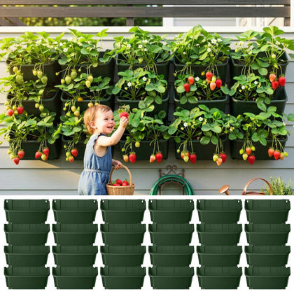 LáLáGreen 24-pack vertical garden planter for space-saving wall mounting