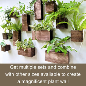 Ready-to-hang wall setup by LáLáGreen for easy greenery