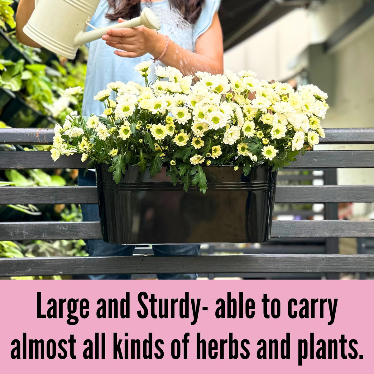LaLaGreen wall-mount planter with drainage holes enabling a compact vertical garden.