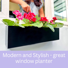 LaLaGreen wall planter succulent display shows live or artificial plants with chic framing.