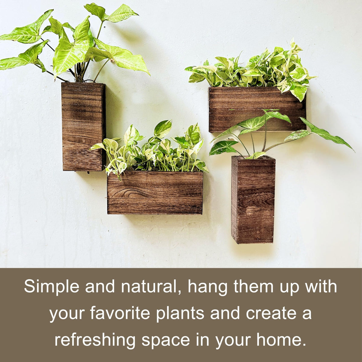 LáLáGreen wall vase display suitable for artificial stems