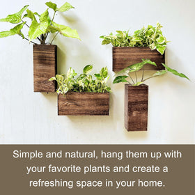 LáLáGreen wall vase display suitable for artificial stems