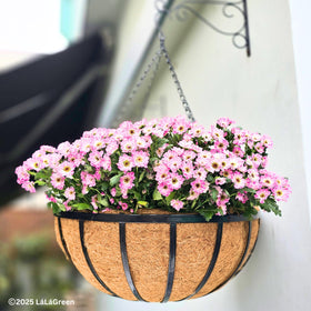 LáLáGreen wedding-venue-hanging-planter adds rustic charm to events.