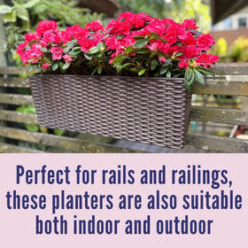 LaLaGreen window box idea to grow herbs on a sunny sill