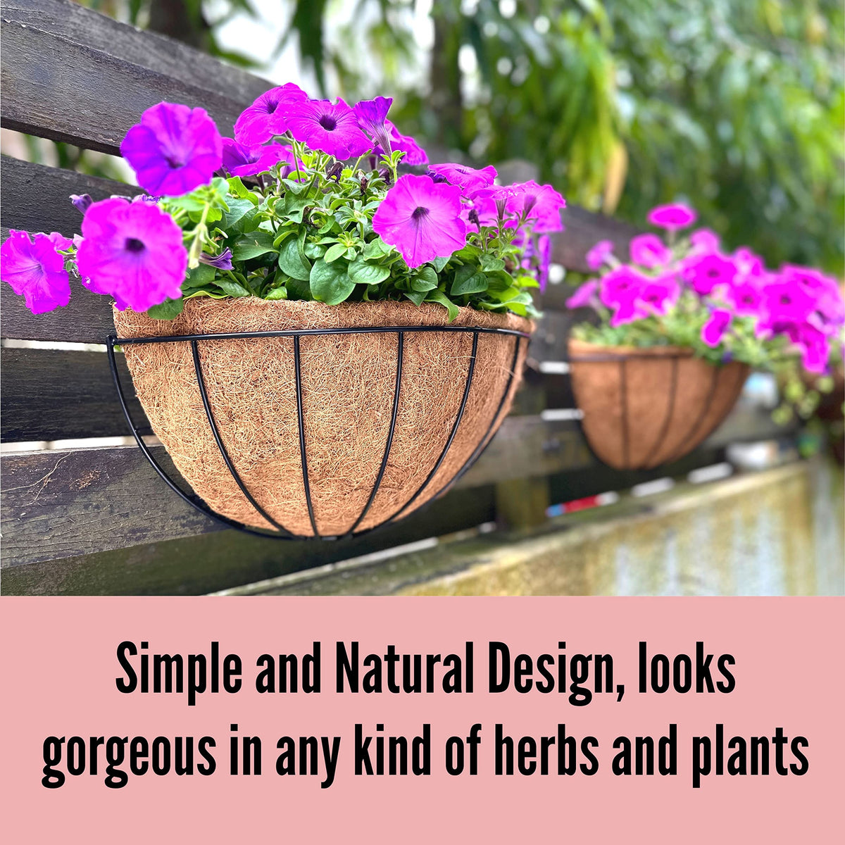 LaLaGreen window planter ideal for bright sill spaces.
