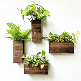 LáLáGreen wooden planter box 4-pack horizontal display for wall décor
