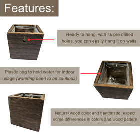 LáLáGreen 4x4-inch wood planter on tabletop ideal for herbs and small flowers.