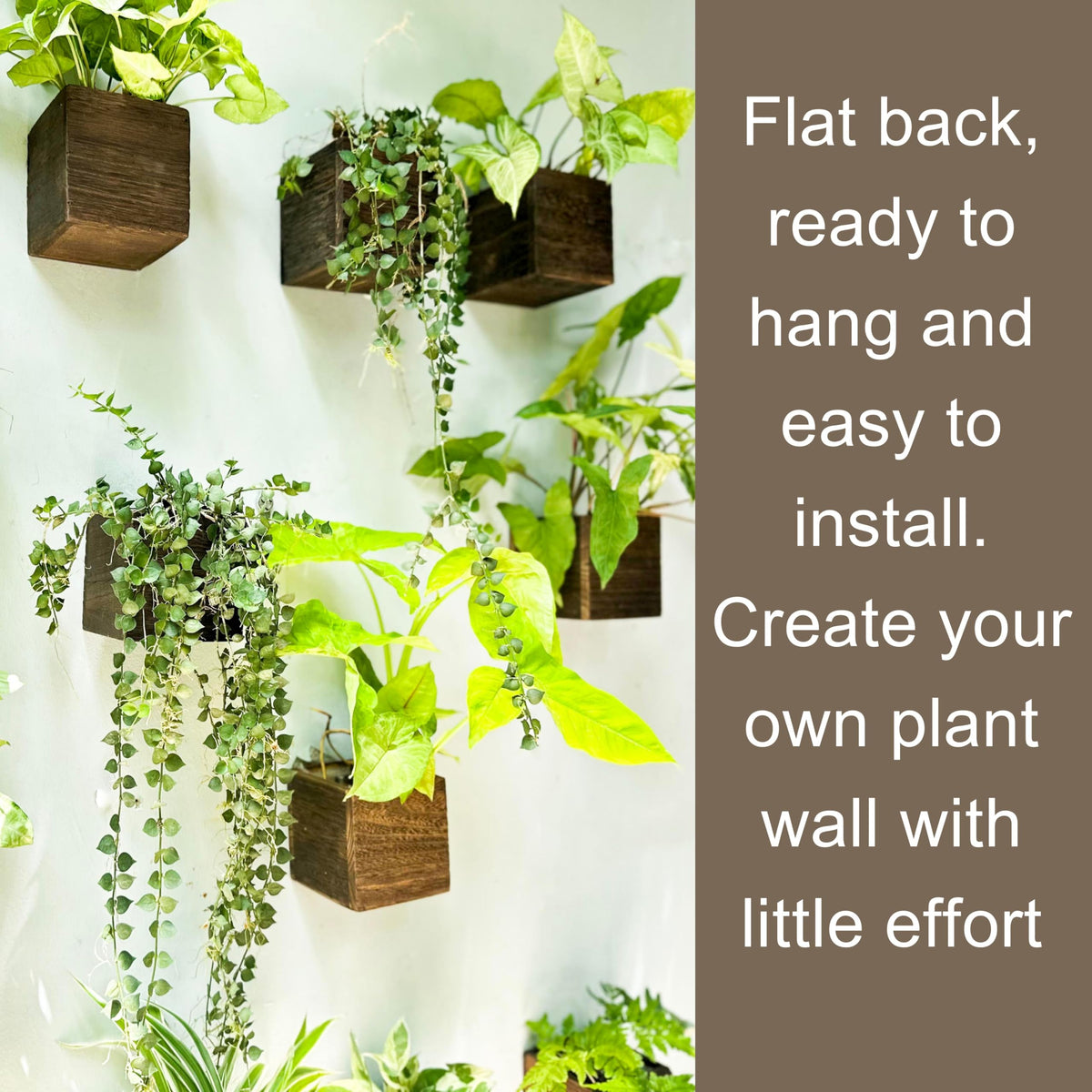 LáLáGreen hanging planter box, 4x4-inch, great for rails and fences.