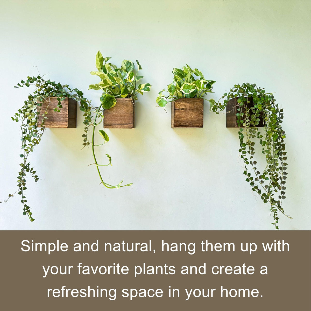 LáLáGreen compact 4x4-inch wooden planter, ideal gift for plant lovers.