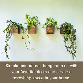 LáLáGreen compact 4x4-inch wooden planter, ideal gift for plant lovers.