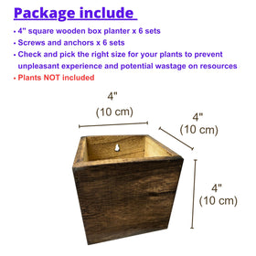 LáLáGreen wall-mounted 4x4-inch planter box for space-saving vertical gardens.