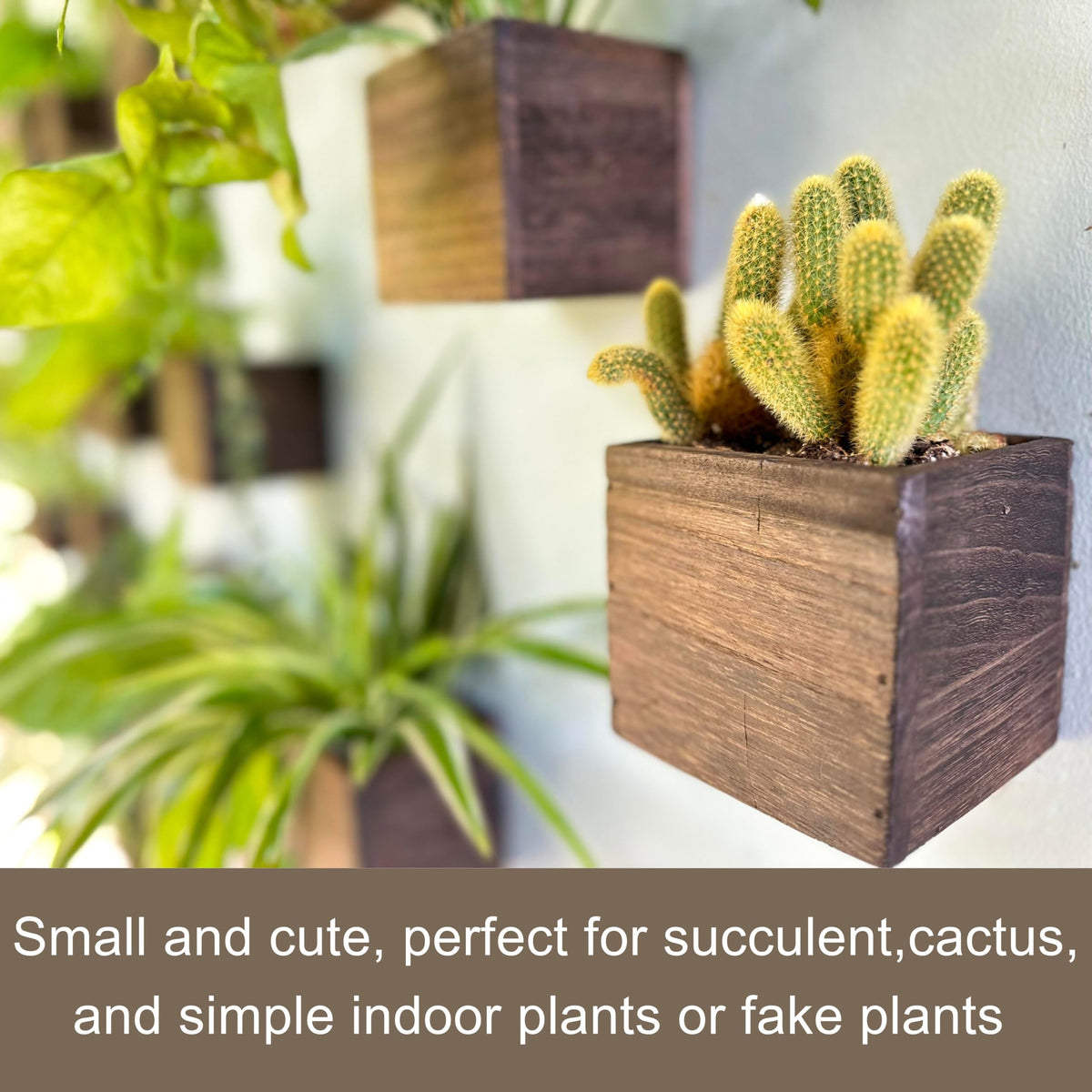 LáLáGreen 4x4-inch planter enabling vertical gardens on balconies and walls.