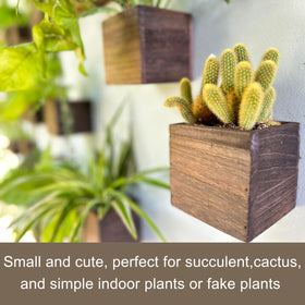 LáLáGreen 4x4-inch planter enabling vertical gardens on balconies and walls.