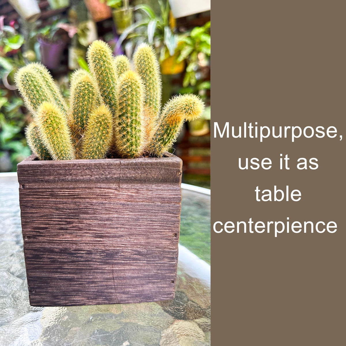 LáLáGreen 4x4-inch planter boxes used as rustic wedding centerpieces and decor.