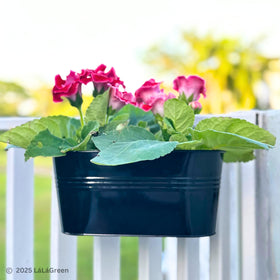 LáLáGreen black metal rail planter hanging on a fence for space-saving display