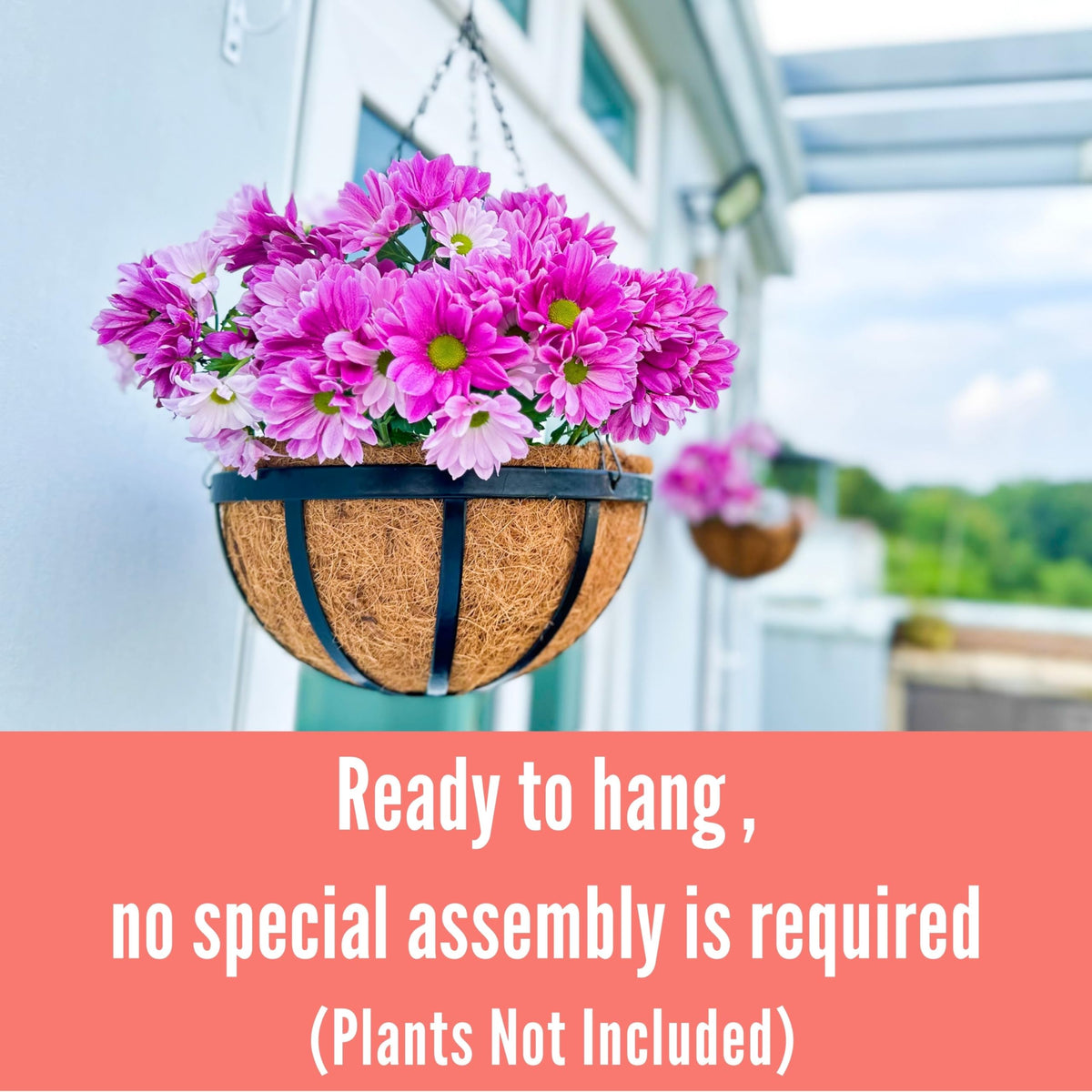 LáLáGreen easy-hang hooks included for quick setup