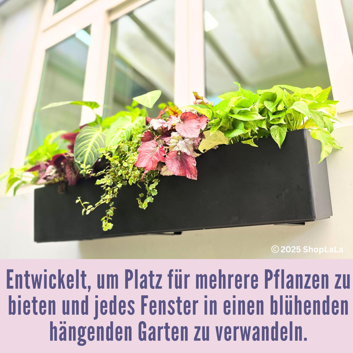 LáLáGreen vertical garden setup on a wall with plants