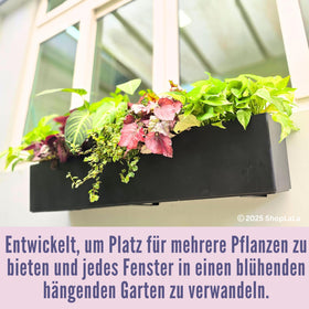 LáLáGreen vertical garden setup on a wall with plants
